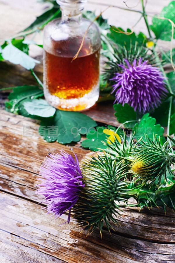 花卉和牛羚提取物