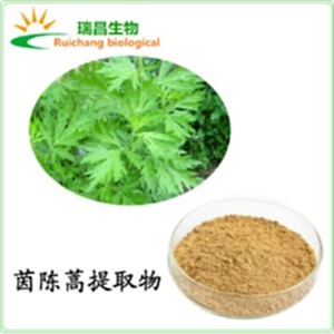 茵陳 植物提取物 茵陳浸膏粉 批發(fā)供應(yīng) 陜西瑞昌 茵陳圖片