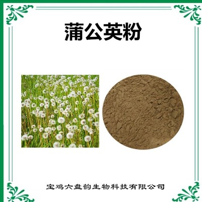 蒲公英速溶粉 天然植物提取物的營養瑰寶